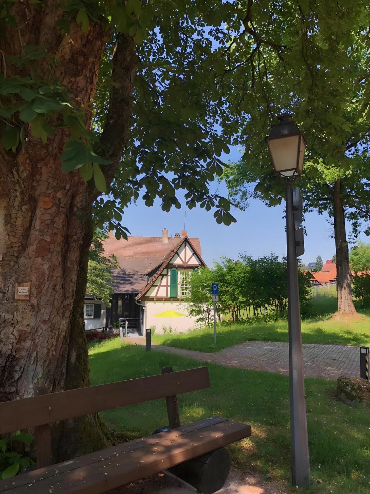 Ferienwohnung Am Keschtebaum, 70Qm Засбахвальден Экстерьер фото